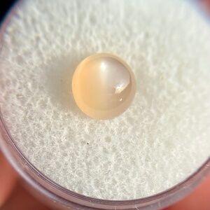 🌟 NATURAL 1.7ct Peach Star Moonstone - Round Cabochon